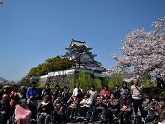 20170413第1章お花見