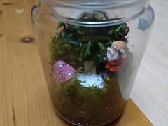 20170726苔テラニウム