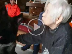 20180123救犬JAPANの金蔵