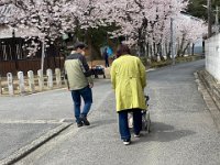 20220402桜のお花見 船岡神社1