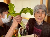 20251118新鮮な野菜