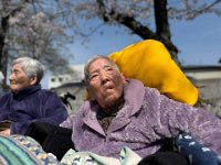 20250406桜