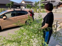 20250706七夕の笹