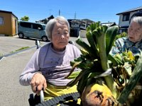 20260517 09