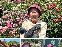 20260519 09