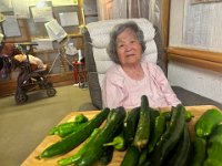 20260703夏野菜