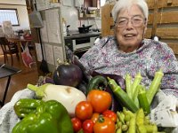 20260723新鮮野菜