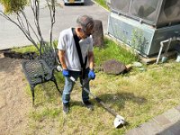 20260724除草作業